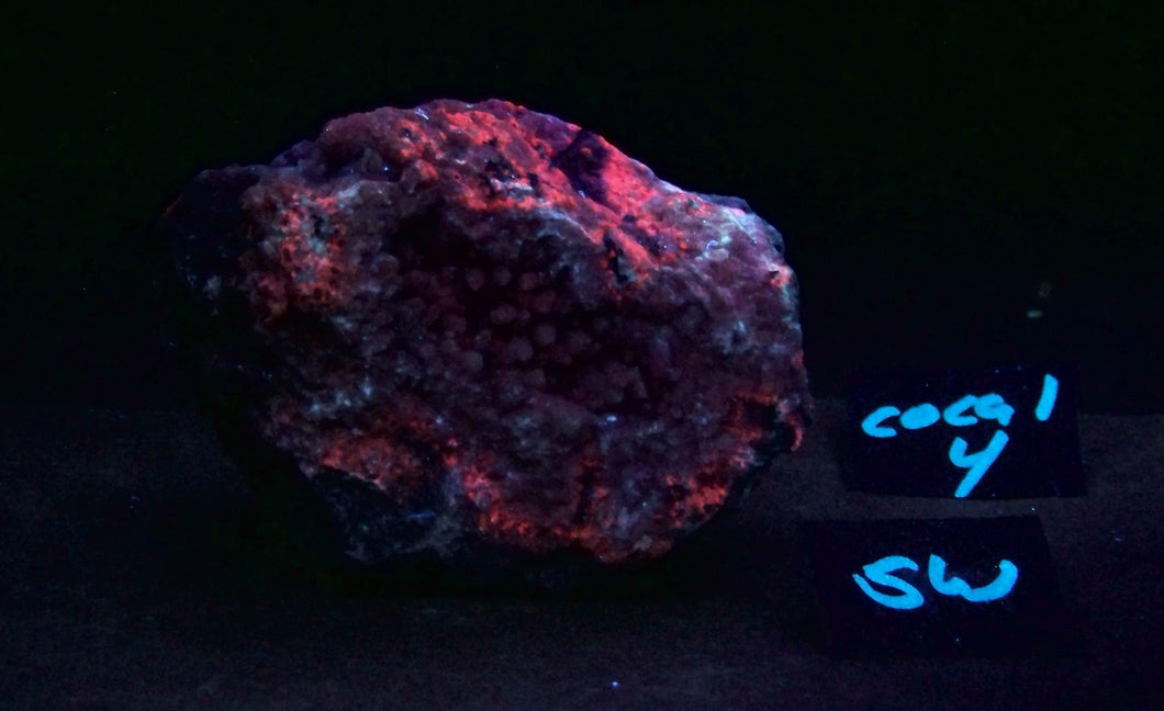 Fluorescent Cobaltoan Calcite Large Specimen cocal4
